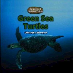 Green Sea Turtles