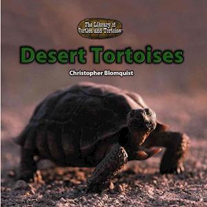 Desert Tortoises