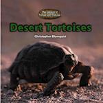 Desert Tortoises