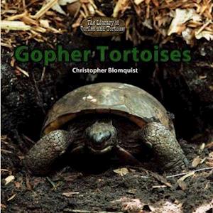 Gopher Tortoises