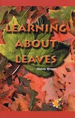 Learning About Leaves