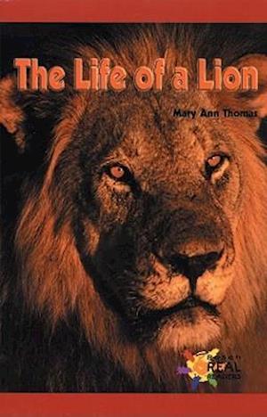 The Life of a Lion