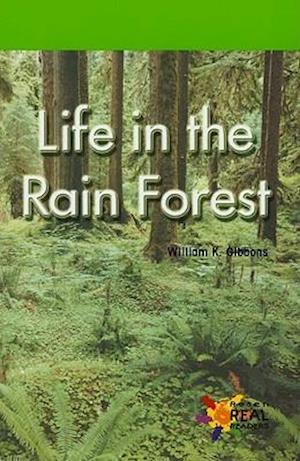 Life in the Rain Forest