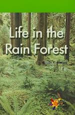 Life in the Rain Forest