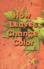 How Leaves Change Color