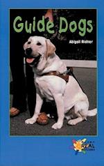 Guide Dogs