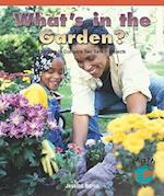 What's in the Garden?