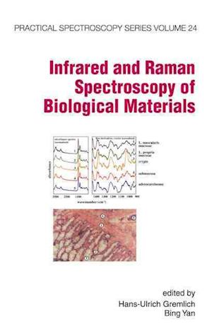 Infrared and Raman Spectroscopy of Biological Materials