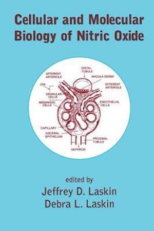 Cellular and Molecular Biology of Nitric Oxide