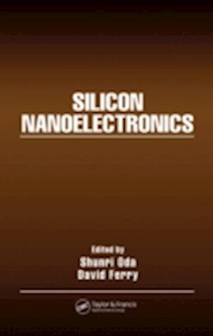 Silicon Nanoelectronics