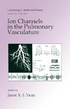 Ion Channels in the Pulmonary Vasculature