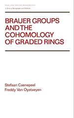 Brauer Groups and the Cohomology of Graded Rings