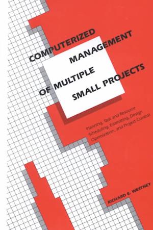 Computerized Management of Multiple Small Projects