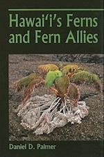 Palmer, D:  Hawaii's Ferns and Fern Allies