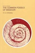 The Common Fossils of Missouri