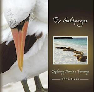 The Galápagos, 1