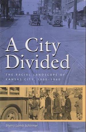 A City Divided, Volume 1