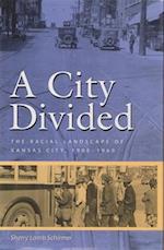 A City Divided, Volume 1