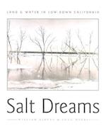 Salt Dreams