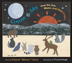 Coyote and the Sky