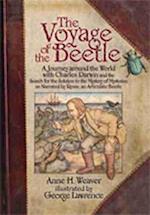 The Voyage of the Beetle