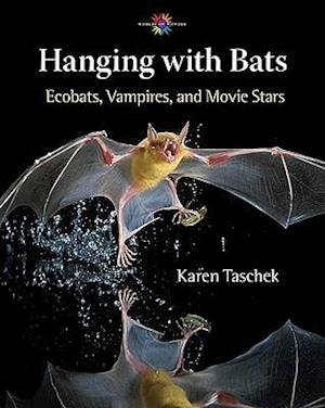 Hanging with Bats