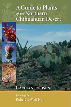 Guide to Plants of the Northern Chihuahuan Desert