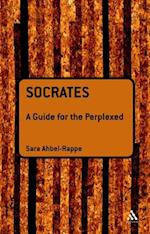 Socrates: A Guide for the Perplexed