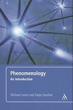 Phenomenology