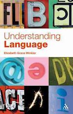 Understanding Language