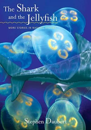 The Shark and the Jellyfish