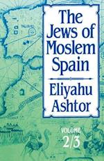 The Jews of Moslem Spain, Volumes 2 & 3