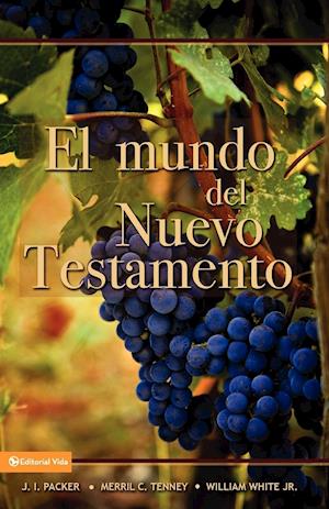 El Mundo del Nuevo Testamento