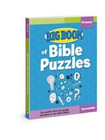 Bbo Bible Puzzles for Preteens