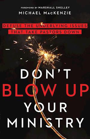 Don`t Blow Up Your Ministry - Defuse the Underlying Issues That Take Pastors Down