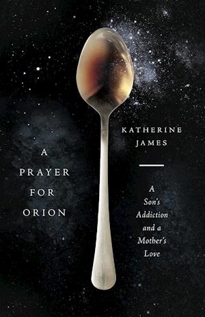 A Prayer for Orion - A Son`s Addiction and a Mother`s Love