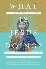What Is Jesus Doing? - God`s Activity in the Life and Work of the Church