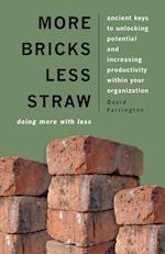 More Bricks Less Straw