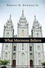 What Mormons Believe