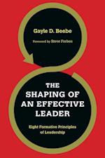 Shaping of an Effective Leader