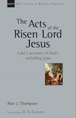 Acts of the Risen Lord Jesus