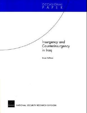 Insurgency and Counterinsurgency in Iraq