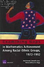 Examining Gaps in Mathematics Achievement Among Racial Ethic Groups