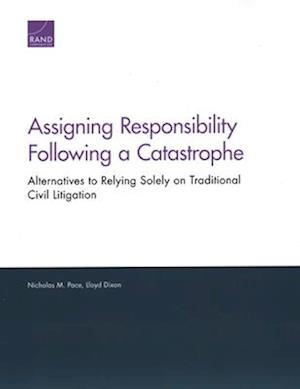 Assigning Responsibility Following a Catastrophe