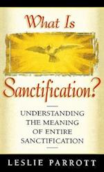 What Is Sanctification?: Understanding the Meaning of Entire Sanctification 