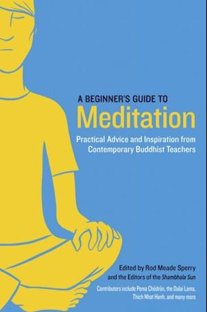 Beginner's Guide to Meditation