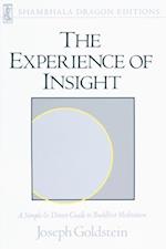 Experience of Insight