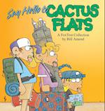 Say Hello to Cactus Flats