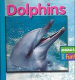 Dolphins