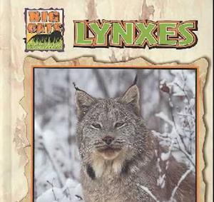 Lynxes